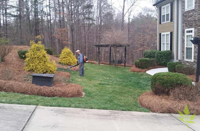 Landscaping and Irrigation Company