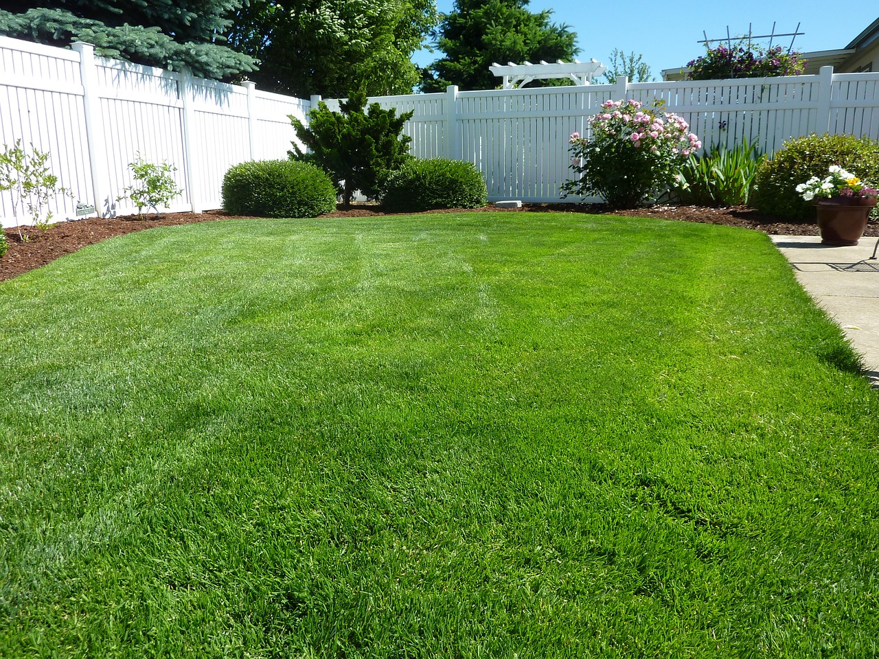 Lawn Mowing Services in Raleigh, N.C.